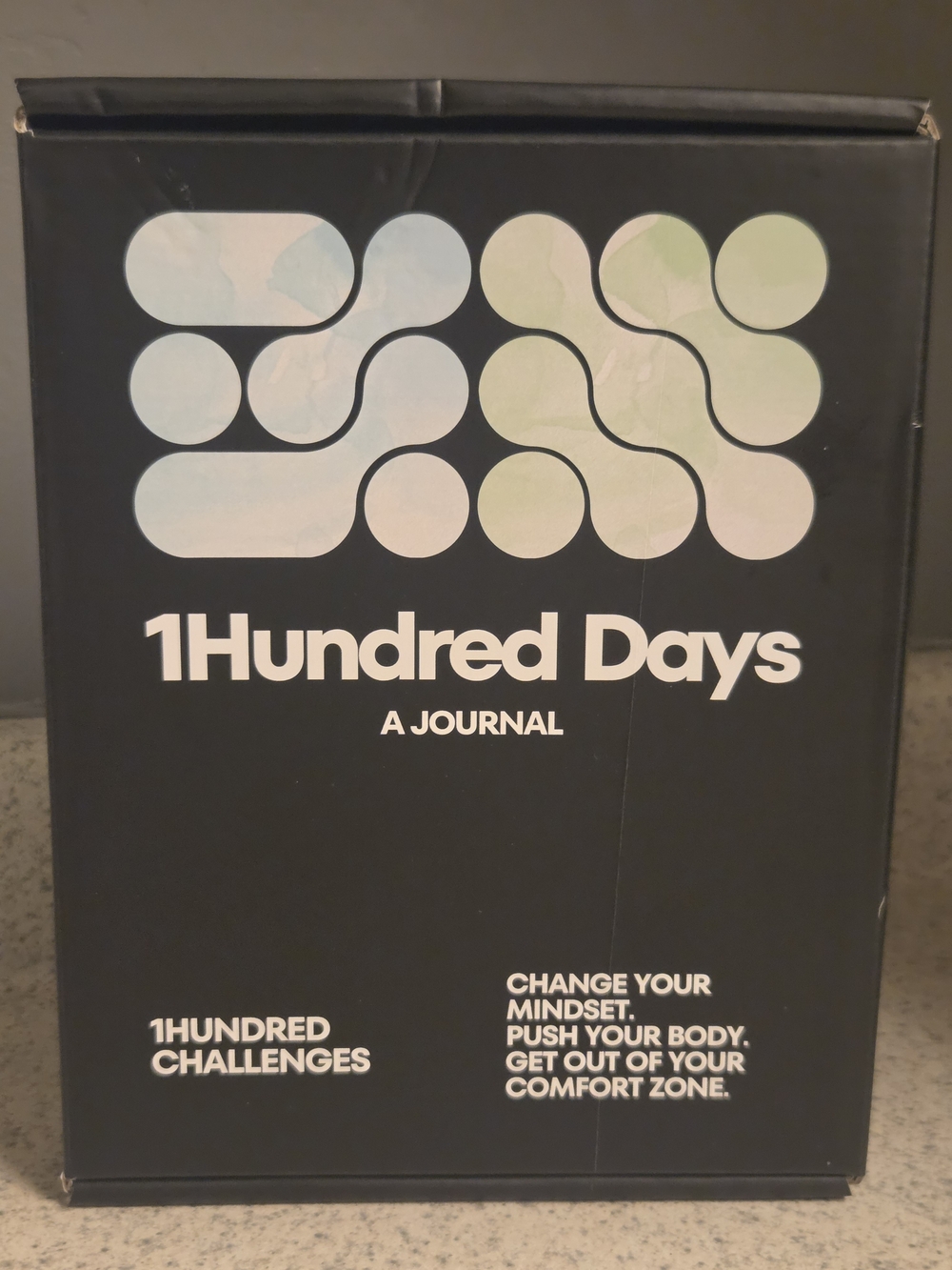 NEW 1Hundred Days A Journal with Accountability Wristband - 100 Challenges Mint